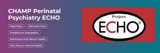 CHAMP Perinatal Psychiatry ECHO Banner